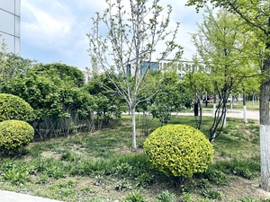 校园一角